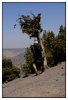 13/toubkal 66 kim.jpg